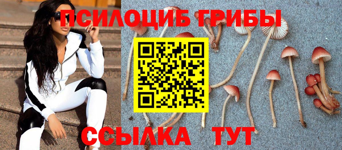 Каменск-Уральский  купить наркоту  Вход с VPN  Псилоцибиновые грибы Magic Shrooms 