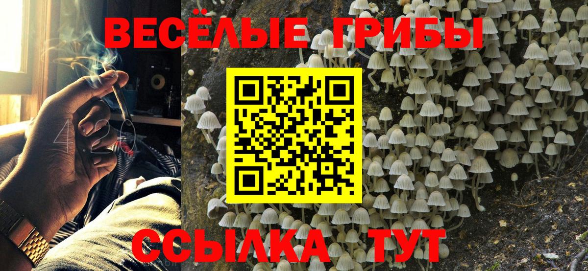 Псилоцибиновые грибы Magic Shrooms Каменск-Уральский